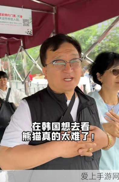FGO超极大南瓜村活动全攻略，解锁隐藏奖励与高效通关秘籍