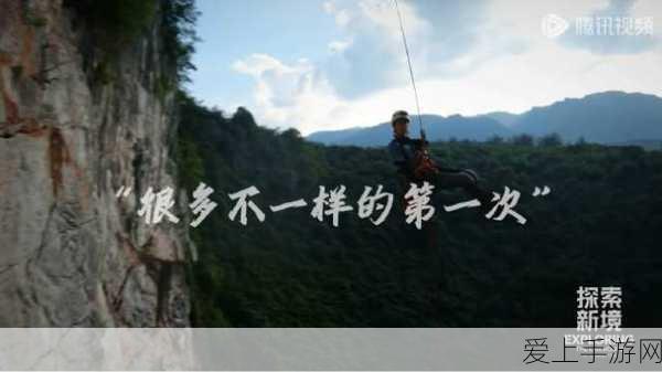 金铲铲之战深度攻略，快速进阶技巧与赛事资讯全览