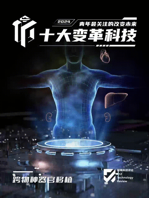 公主与巨龙之战，大千世界手游专属任务深度攻略