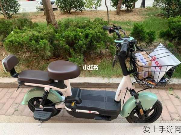 精灵宝可梦超进化全解析，解锁更强战斗力的秘密