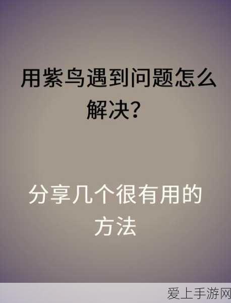 梦幻新诛仙，独家礼包码全收录与高效兑换攻略