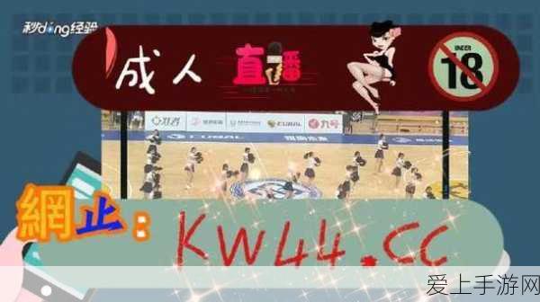 三国志战略版曹仁领衔的无敌肉盾阵容深度解析