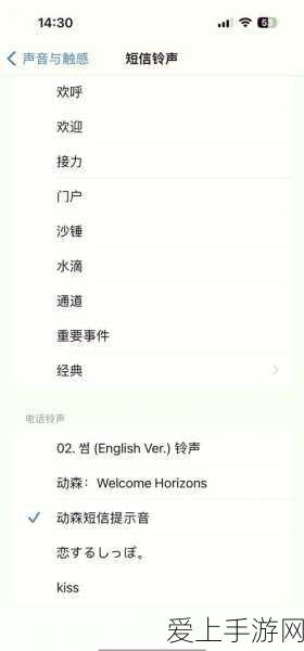 王者荣耀主页体验卡失踪疑云，背包探索与官方回应揭秘