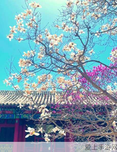 海康存储惊艳亮相ELEXCON2024深圳国际电子展，引领手游存储新风尚