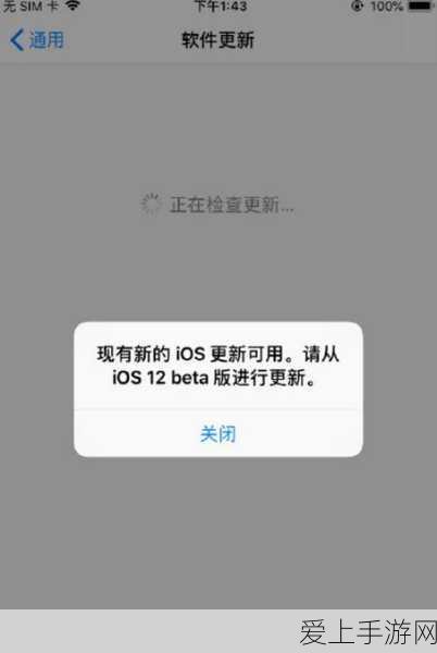 极无双 2 武将无敌搭配秘籍
