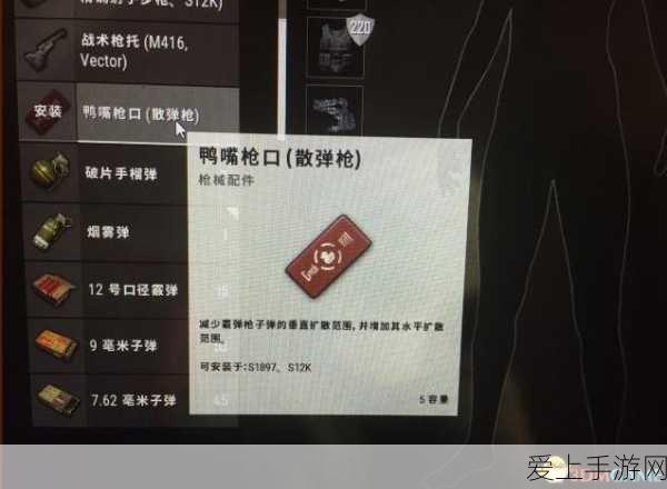 FGO五周年庆典，全新OP震撼发布，咕哒子与咕哒夫共现最帅瞬间！