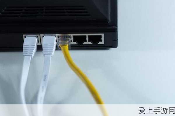 摩尔庄园手游，揭秘隐藏NPC，开启奇遇探索大赛
