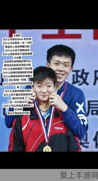 冒险岛之怀疑的村子，任务通关秘籍大公开