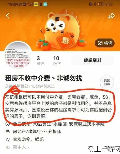 原神之旅，探索无限可能，收获满满惊喜