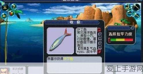 疯狂骑士团，钻石使用攻略大揭秘，助你称霸竞技场！