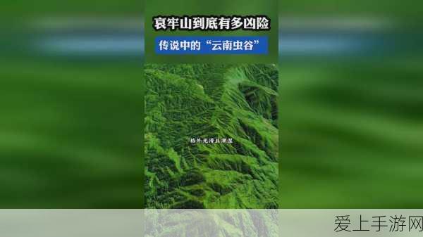咸鱼之王10月2024兑换码全攻略，独家解析与赛事亮点揭秘
