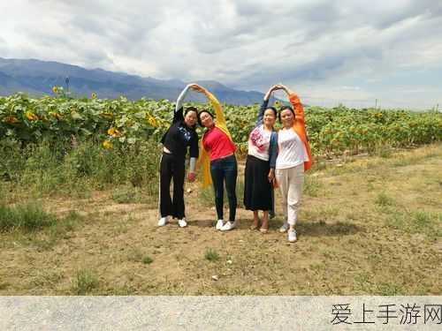 崩坏星穹铁道，掌握自动战斗技巧，轻松征服银河之旅