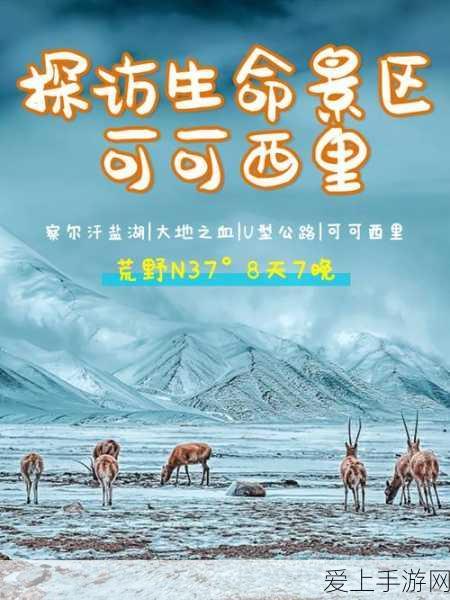 梦幻模拟战SP角色强度解析，谁才是战场上的真正王者？