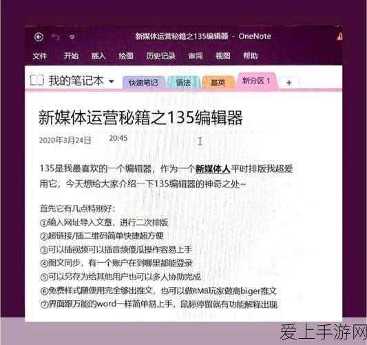 仙境传说RO，新手速升秘籍，解锁高效升级新路径