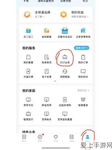 棕色尘埃2仅限国际服？全面解析与最新动态