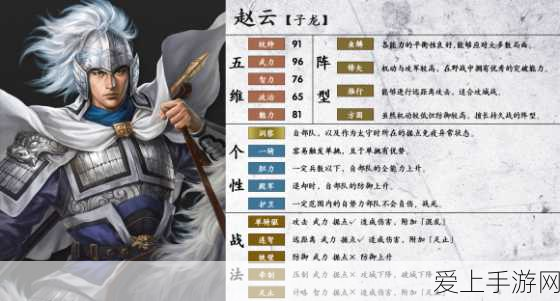 航海王热血航线，罗角色全解析与竞技场高效连招秘籍