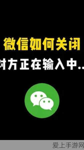 原神纳西妲天赋加点深度解析，战斗潜能最大化攻略