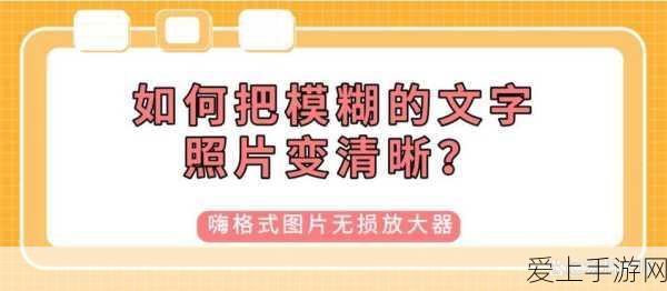 饥荒机器人全解析，满级属性与高效升级秘籍大公开