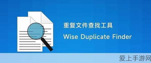 DNF110 级阿修罗技能加点秘籍，100 版本深度剖析