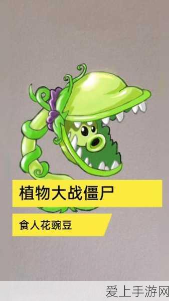 阴阳师手游深度攻略，揭秘二口女的强大技能与实战应用
