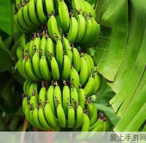 梦幻西游三维版六一惊喜不断，童趣活动大揭秘