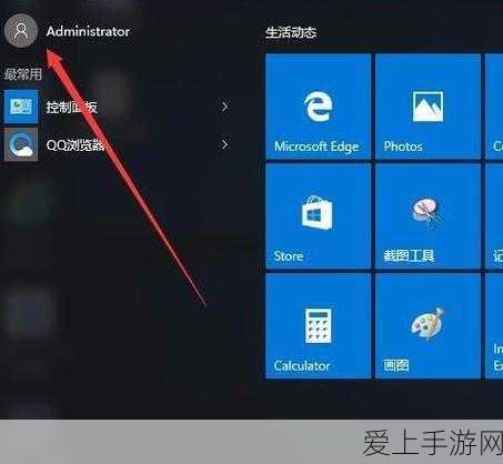 摩尔庄园手游皇家彩球全攻略，详尽位置解析与夺冠秘籍