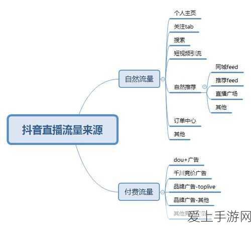 宝可梦大集结全球赛奖牌揭秘，荣耀背后的战略与汗水