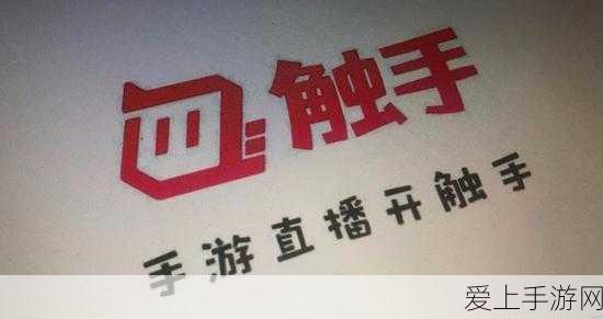 影之刃3攻略揭秘，榆木脑袋任务高效通关秘籍