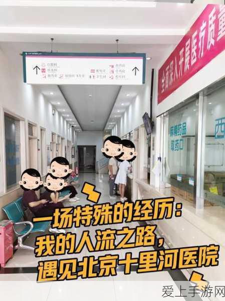 万国觉醒，新手开局国家选择秘籍，助你称霸全球的策略蓝图