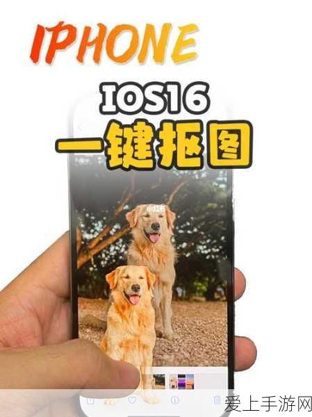 FGO玩家狂欢！狂阶布姐与泳装布姐羁绊礼装中元节惊喜礼盒深度解析