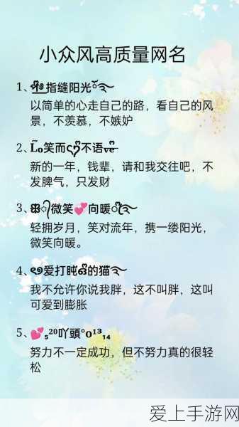塞尔达传说探秘，拉聂尔山详尽指南与隐藏秘密