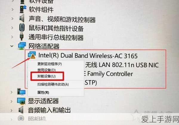 阴阳师，源博雅御灵皮肤独家获取攻略，解锁绝美外观的秘诀！