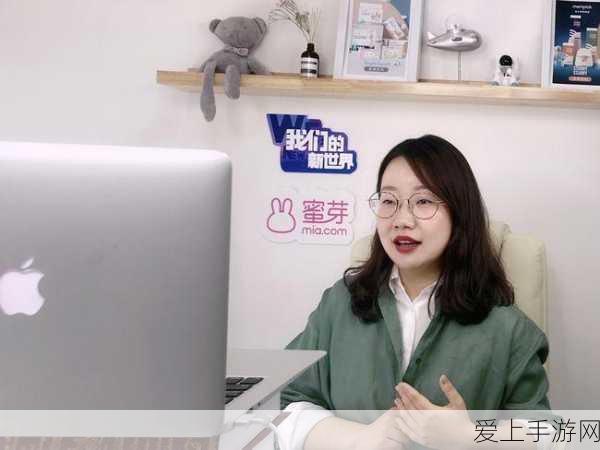 DNF 帕拉丁护石与符文的无敌搭配秘籍
