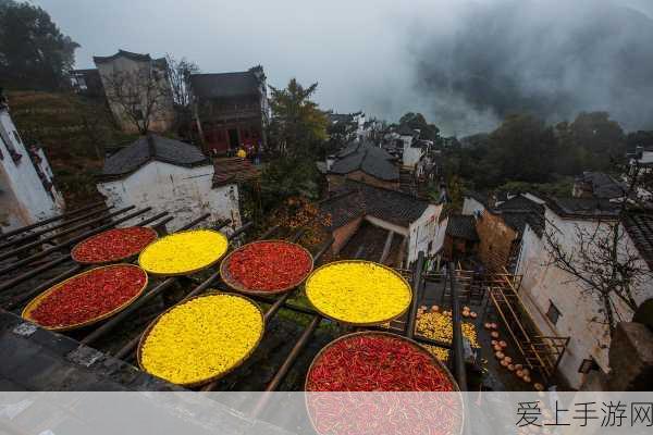 三国志:战略版S12刘备张飞赵云怎么玩?