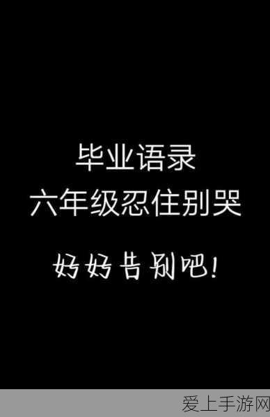崩坏星穹铁道国际服官网全揭秘，全球版本新体验，一键畅玩无界限