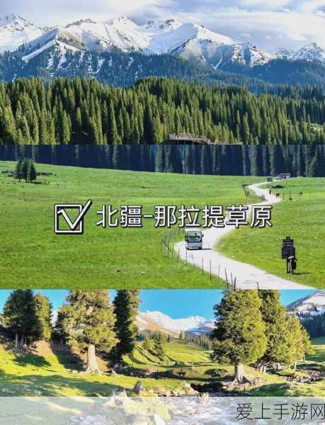 三国战纪，优化版百战攻略秘籍大揭秘