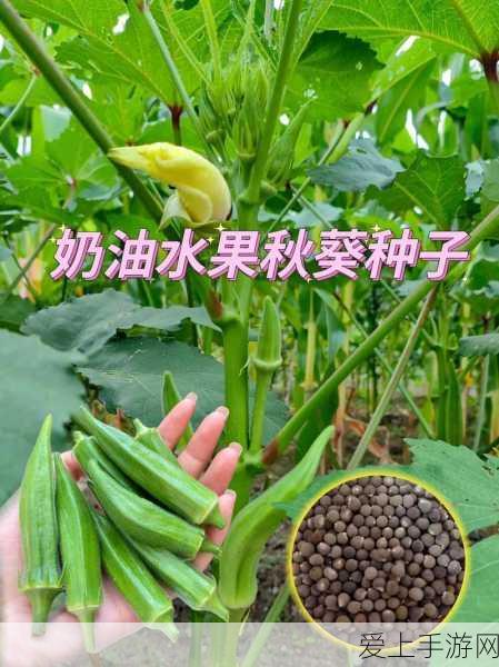 秋葵绿巨人:“秋葵绿巨人:健康美味与营养价值的完美结合”