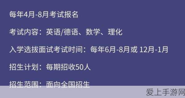 绝区零攻略，赠尔丽都第四天拼图完美解锁秘籍