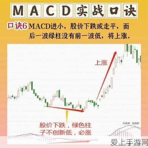 坦克世界60TP顶级配件搭配攻略，解锁战场霸主潜能