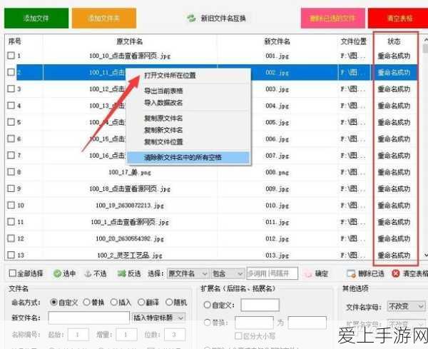 怪物猎人崛起，全武器种类深度剖析，打造你的专属狩猎传奇