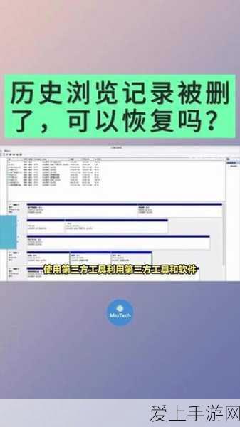 冠军之路，影之诗大赛吸血鬼卡组深度解析与实战布局