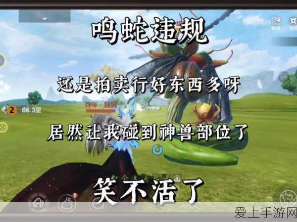 阴阳师手游，椒图御魂搭配秘籍与觉醒华丽变身全揭秘