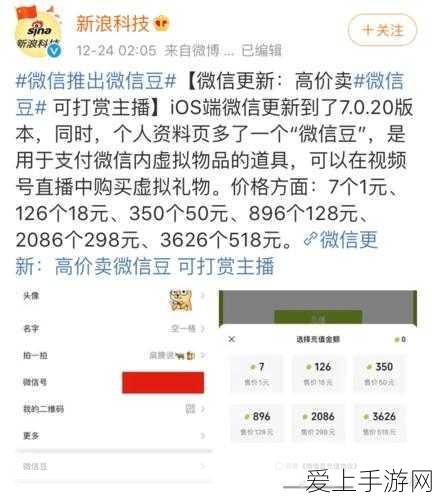 揭秘和平精英度假岛，全面攻略与独特玩法深度解析
