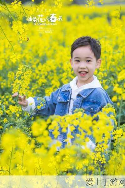 骁龙8 Gen4领衔，2K直屏子系旗舰新机双雄争霸