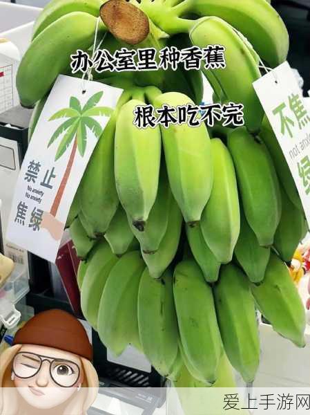 唯美兄弟情深，探索类似兄弟双子传说与雨境迷踪的剧情游戏