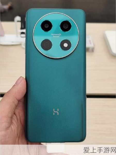 摩尔庄园手游，揭秘大头菇珍稀采集点，助你快速收集！