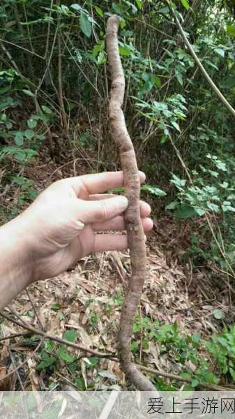 暗黑武侠新篇章，兽血猛将电脑版震撼上线，开启热血激战！