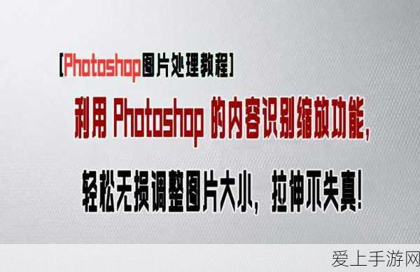 金铲铲之战S12赛季顶尖阵容揭秘，策略致胜，登顶战场巅峰