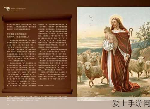 命运方舟深度攻略，揭秘暗影岛之心获取途径，解锁终极神秘力量！