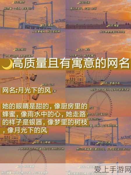 我的勇者金币速刷攻略，揭秘高效赚取金币的秘密途径